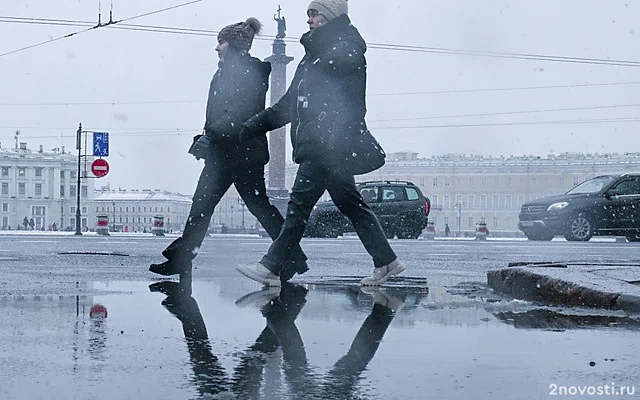 В Петербурге объявили «желтый» уровень опасности из-за гололеда и тумана — Новости