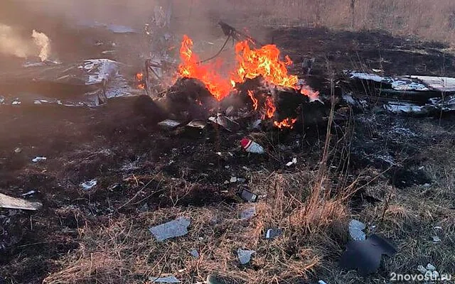 В Подмосковье упал легкомоторный самолет — Новости