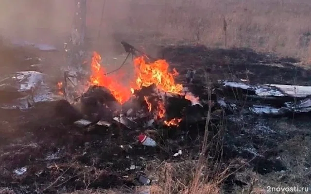 Место крушения легкомоторного самолета в Подмосковье попало на видео — Новости