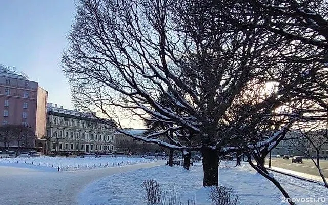 В Петербурге поднимется атмосферное давление в ночь с 7 на 8 февраля — Новости