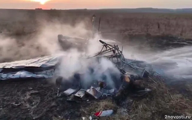 Место крушения легкомоторного самолета в Подмосковье попало на видео — Новости