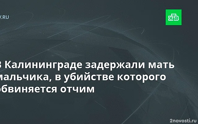 В Калининградской области задержали мать убитого отчимом мальчика — Новости