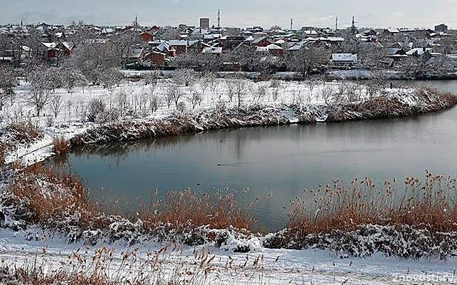 Несколько жилых домов были повреждены обломками БПЛА в Ростовской области — Новости