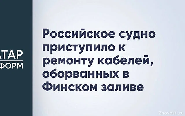 В Финляндии сообщили о повреждении российского кабеля в Финском заливе — Новости