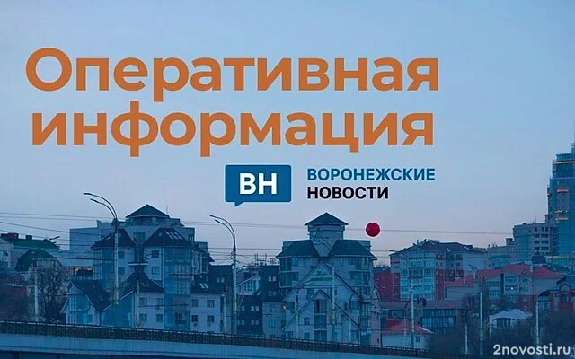 Гусев: Силы ПВО уничтожили несколько беспилотников в Воронежской области — Новости