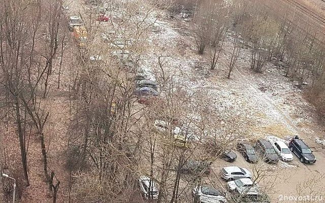 Синоптик Тишковец: В Москву в конце февраля придут морозы до минус 14 — Новости