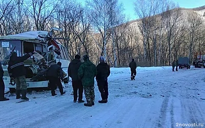 Число пострадавших в ДТП с автобусом и лесовозом в Приморье выросло до 15 — Новости