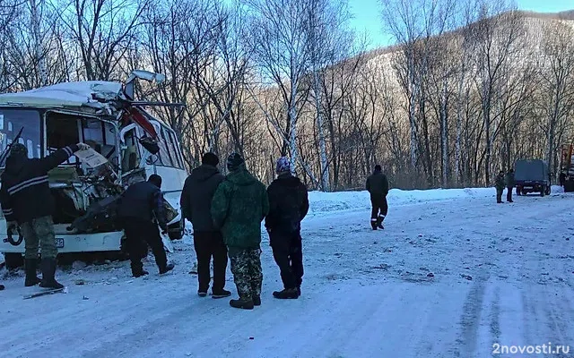 Число пострадавших в ДТП с автобусом и лесовозом в Приморье выросло до 15 — Новости