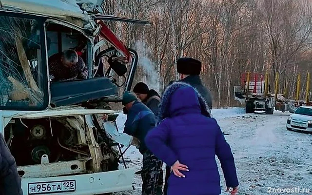 Число пострадавших в ДТП с автобусом и лесовозом в Приморье выросло до 15 — Новости