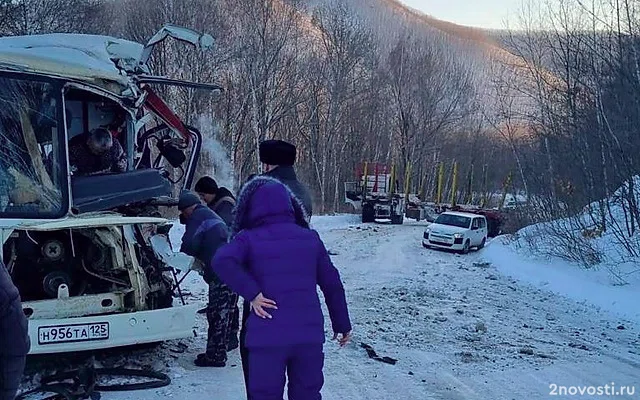 Число пострадавших в ДТП с автобусом и лесовозом в Приморье выросло до 15 — Новости