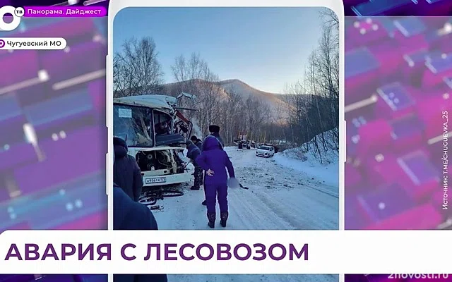 Число пострадавших в ДТП с автобусом и лесовозом в Приморье выросло до 15 — Новости