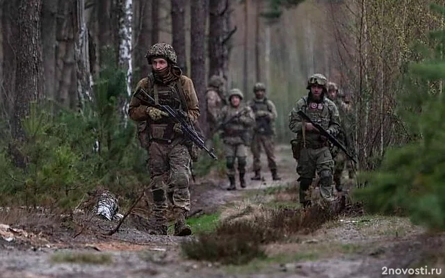 Алаудинов заявил об уничтожении большей части войск ВСУ в Курской области — Новости