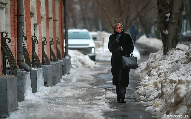 Синоптик Позднякова: небольшой снегопад ожидается в Москве в выходные — Новости