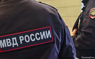 В Нижнем Новгороде задержали 15 человек за экстремистские преступления — Новости