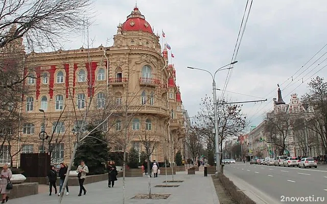 Глава городской думы Ростова-на-Дону досрочно ушла в отставку — Новости