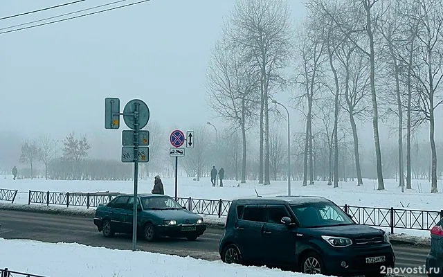 Синоптик Колесов пообещал петербуржцам потепление на следующей неделе — Новости