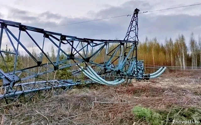 Диверсантов приговорили за атаки на Ленинградскую и Калининскую АЭС — Новости