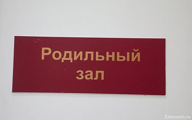 Естественная убыль населения Петербурга превысила 30% — Новости