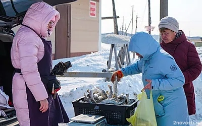 Сельские жители Сахалина скупили весь улов наваги за считанные часы! — Новости