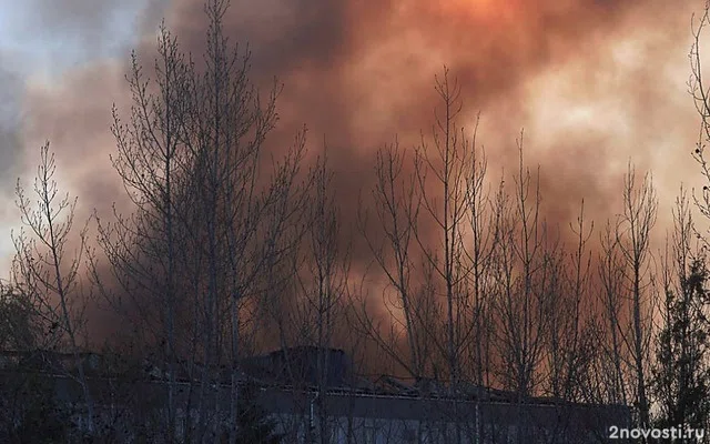 В Воронежской области сбили несколько БПЛА — Новости