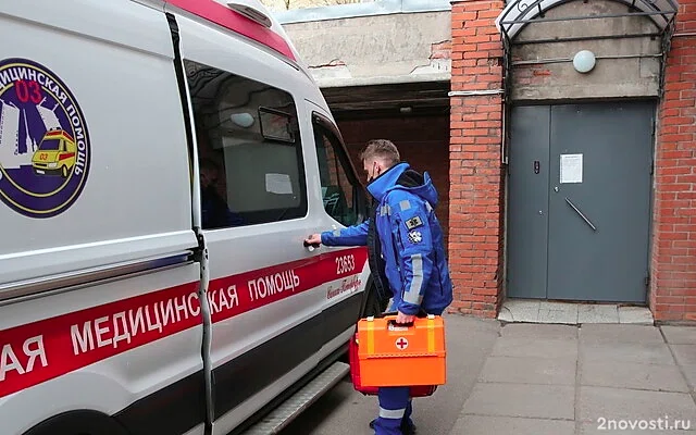 В Петербурге второклассника забрали из школы в больницу с проломленным черепом — Новости