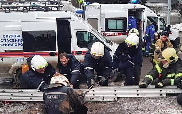 В Нижнем Новгороде мужчина провалился под землю на 10-метровую глубину — Новости