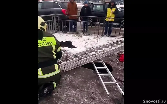 В Нижнем Новгороде мужчина провалился под землю на 10-метровую глубину — Новости