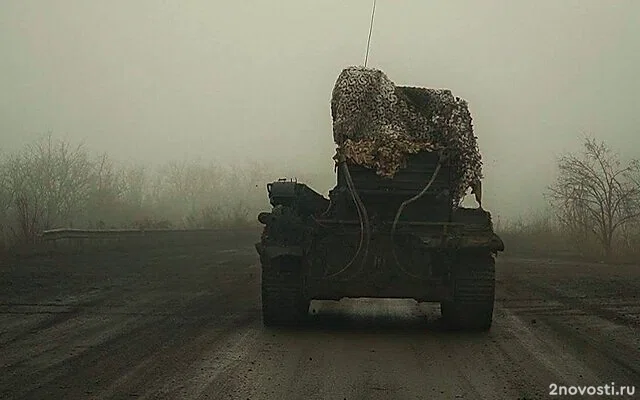 На Кубани глава района запретил стриптиз в поддержку СВО — Новости