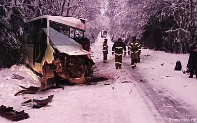 В Ленобласти столкнулись автобус и лесовоз — Новости