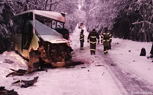 В Ленобласти столкнулись автобус и лесовоз — Новости