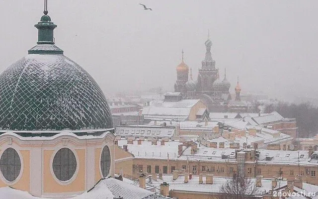 В Петербурге ожидается морозная погода и небольшой снег — Новости