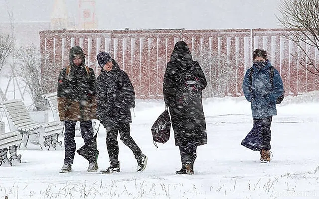 В Петербурге ожидается морозная погода и небольшой снег — Новости