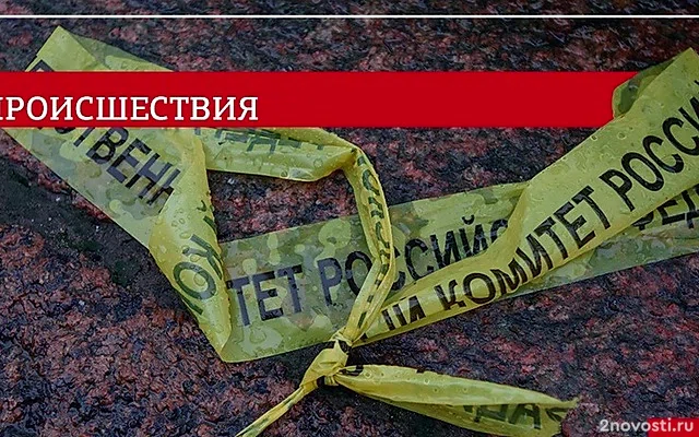 Студентам в Петербурге за проукраинский лозунг грозит уголовное дело — Новости