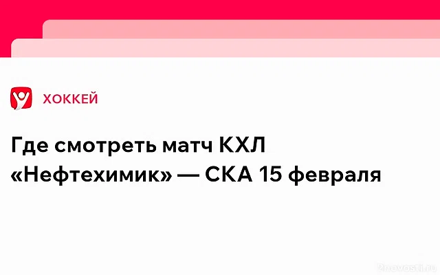 «Нефтехимик» 15 февраля сыграет против СКА в матче КХЛ — Новости