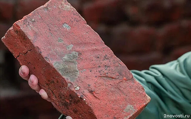 В Севастополе в бытовой ссоре убили вокалистку NEMA Наталью Немеляйнен — Новости