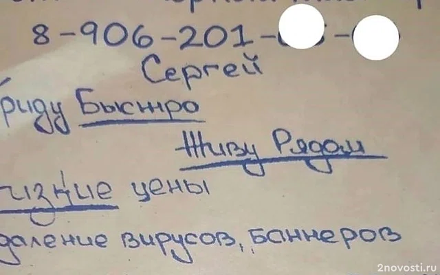 В Новгородской области задержаны члены ОПГ за мошенничество — Новости