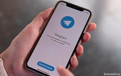 ТАСС: более 1 млн человек попали на страницы для кражи Telegram-аккаунтов — Новости