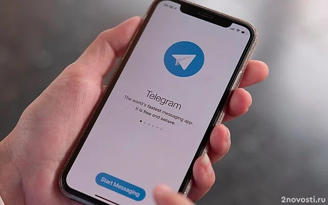 ТАСС: более 1 млн человек попали на страницы для кражи Telegram-аккаунтов — Новости