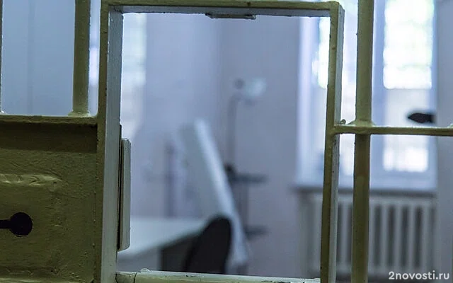 Жителя Твери задержали по подозрению в убийстве 13-летней девочки — Новости