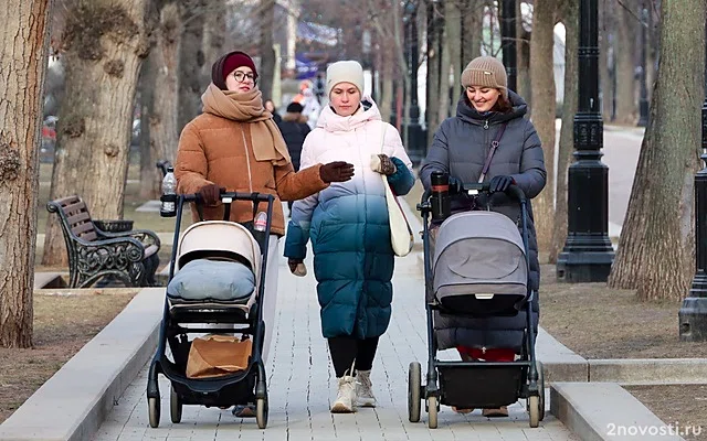 Синоптик Тишковец: На подмосковные Черусти обрушились 20-градусные морозы — Новости