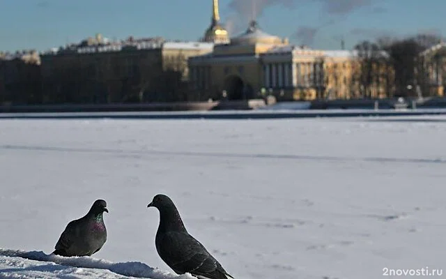 В Петербурге зафиксирован максимум солнечного свечения в этом феврале — Новости