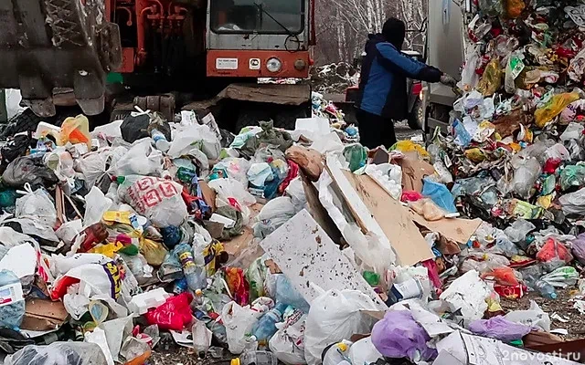 В Новосибирской области заявили, что десятки гробов на свалке являются ТКО — Новости