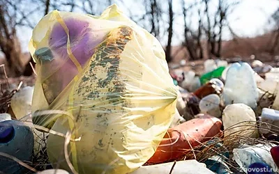 В Новосибирской области заявили, что десятки гробов на свалке являются ТКО — Новости