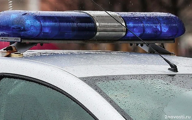 В Уфе арестовали напавшего на полицейского иностранца — Новости