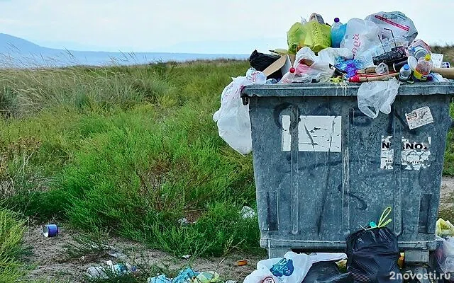 Водитель грузовика нашел на свалке в Барнауле два гроба и цветы — Новости