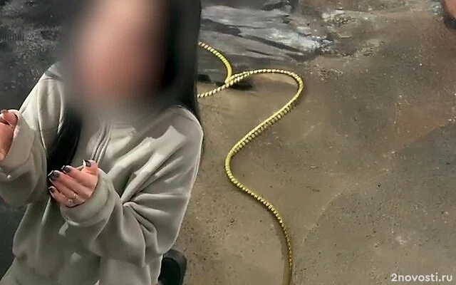 В Каменске-Уральском девушек раздели, поставили на колени и обливали водой — Новости