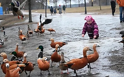 Оттепель не придет в Москву на следующей неделе, будут морозы до минус 15 — Новости