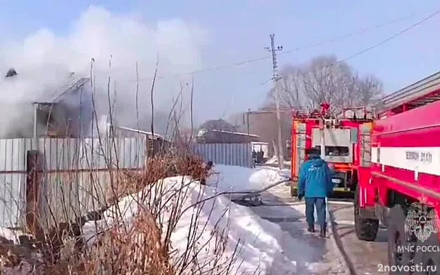 В Шадринске в огне погибли трое детей, самого младшего спасла сестренка — Новости