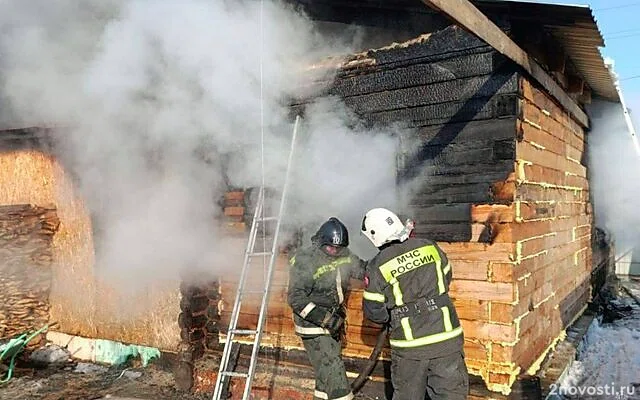 В Шадринске в огне погибли трое детей, самого младшего спасла сестренка — Новости