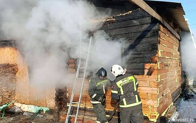 В Шадринске в огне погибли трое детей, самого младшего спасла сестренка — Новости